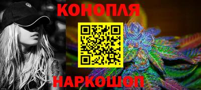 гашик Краснознаменск