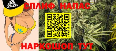 гашик Краснознаменск