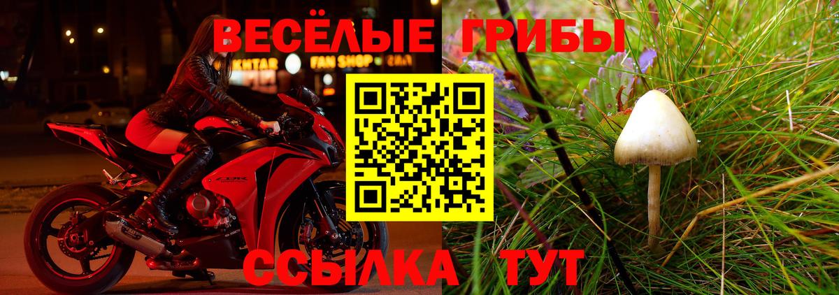 дарнет шоп  Вход с VPN  Заволжье  Псилоцибиновые грибы ЛСД 